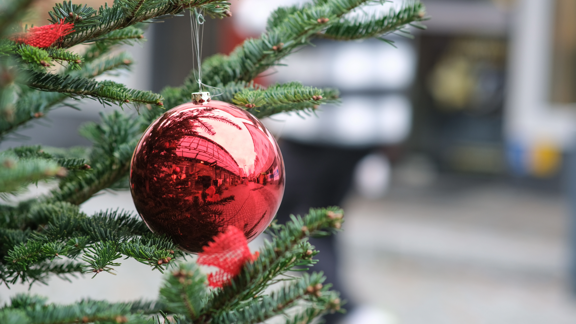 Featured image for “Christmas Opening Hours 2025”